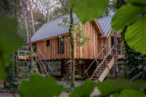 New Unique Treehouses in Oisterwijk